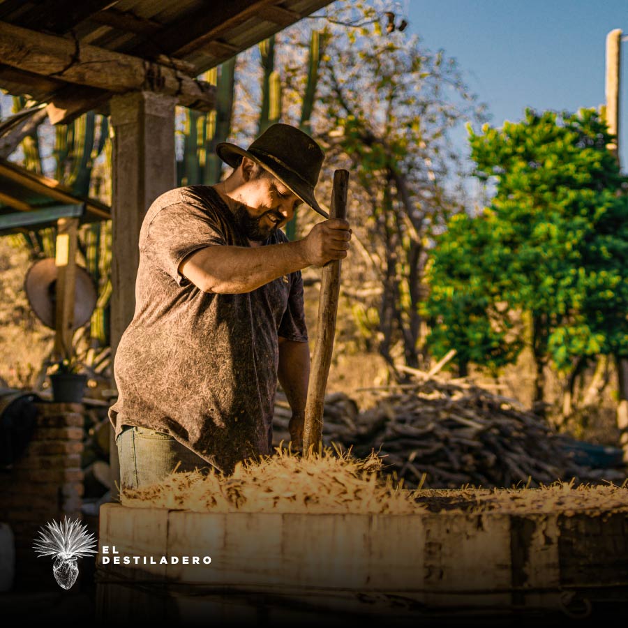 Fermentación en tinas de madera