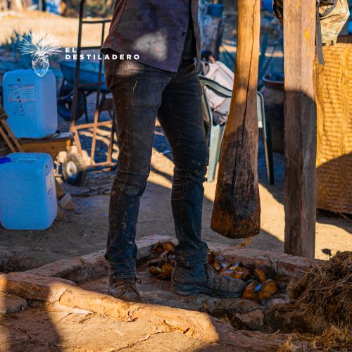 Molienda del maguey a mano con mazo de madera