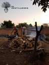 Carga de maguey para cocimiento