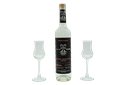 Regalo Premium 2