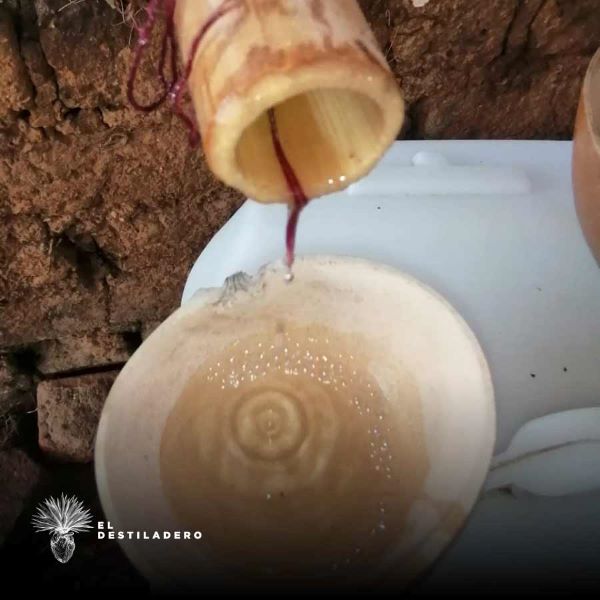 Ajuste alcohólico en Envido 29