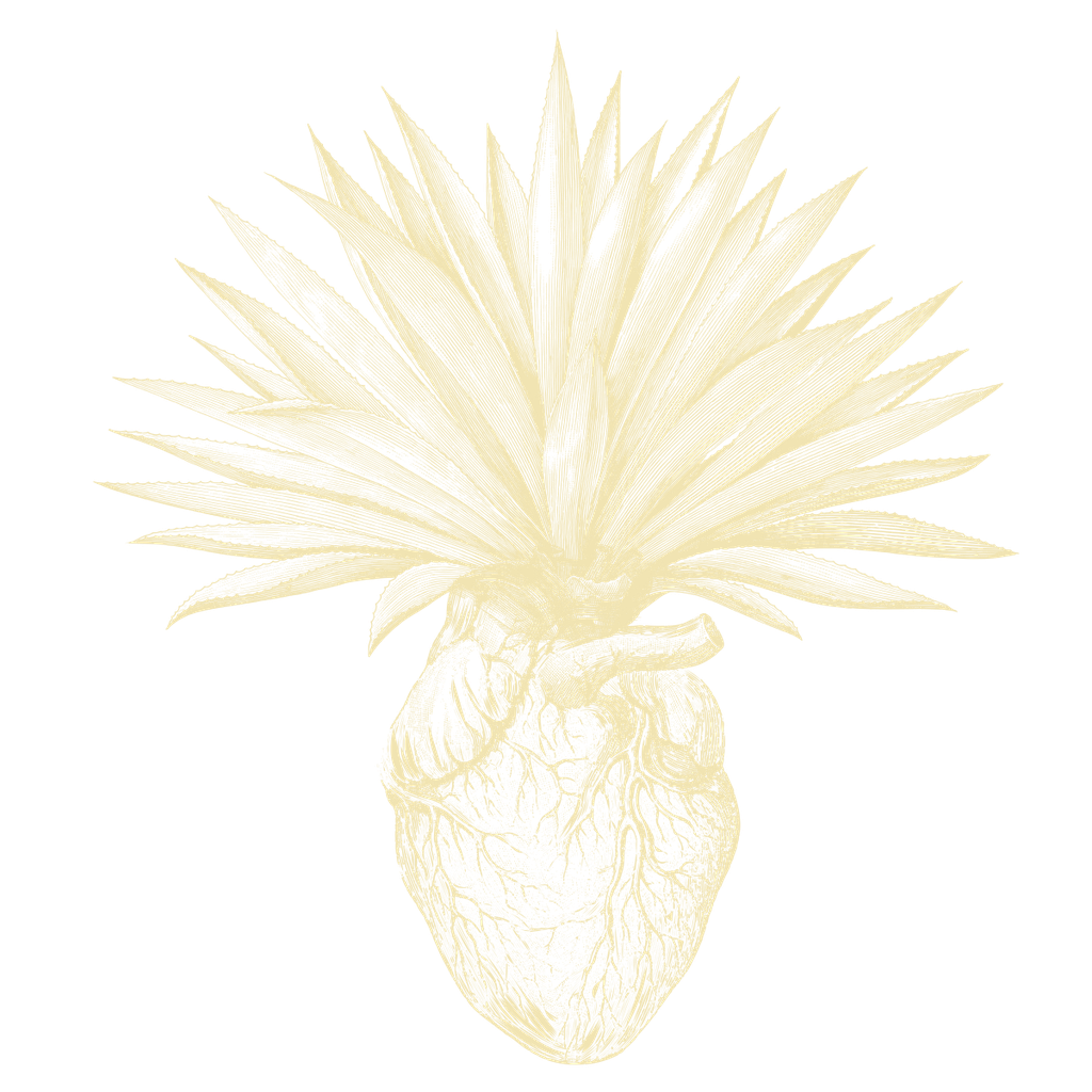 Mezcaleada - Plan Selecto
