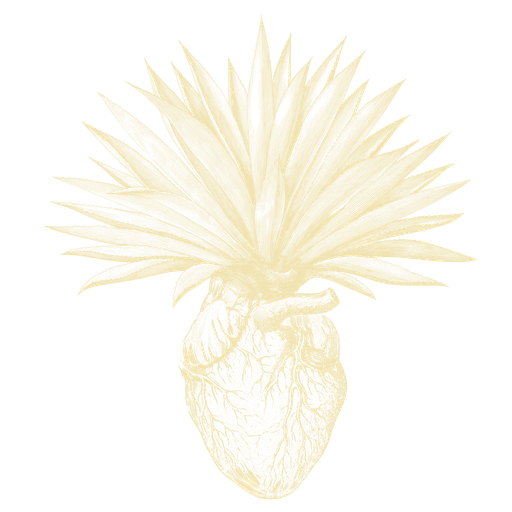 [MEZCA-SELECTO] Mezcaleada - Plan Selecto